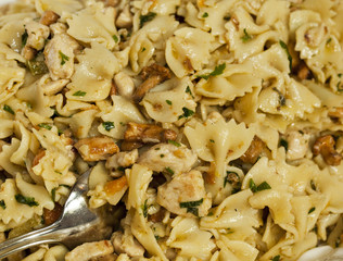 Farfalle Pasta mit Pfeferlingen Background