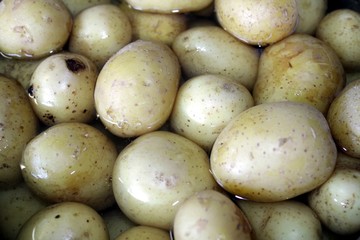 Kochende Kartoffeln 2