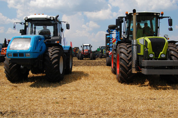 Many tractors on field