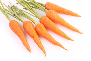 Carrots isolated on white