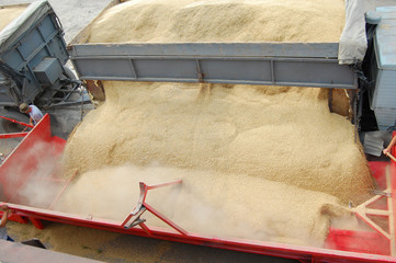 Downloading grain