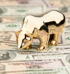 Dollar Geldscheine mit Bulle und Bär