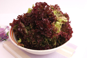 Kopfsalat