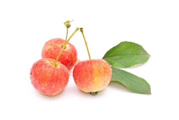 Small apples