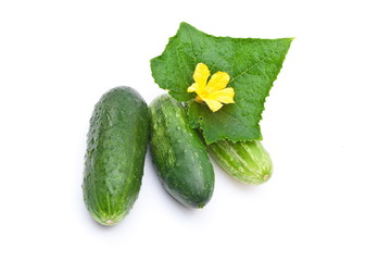 Fresh cucumbers with leaf and flower