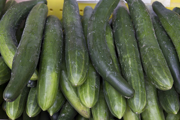 Cucumbers Background