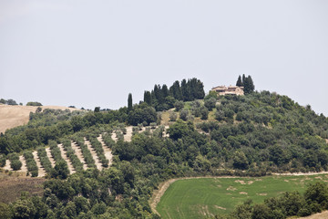 Tuscan Landscape