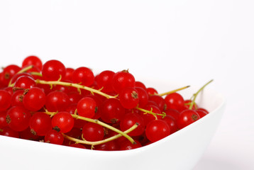Johannisbeeren