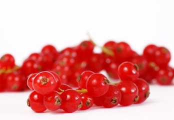 Johannisbeeren