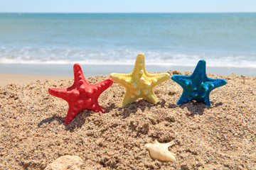 Fototapeta na wymiar colorful starfish on the beach