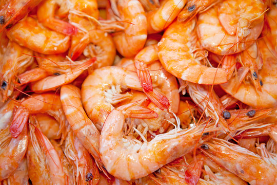 Fototapeta cooked shrimp in closeup as background