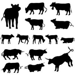 vache taureau et veaux silhouette pack