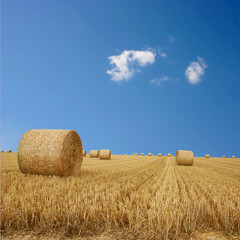 Fototapeta premium Straw Bales on Farmland with blue Sky
