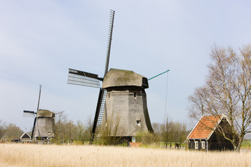 Fototapeta na wymiar Wiatraki w pobliżu Alkmaar, Holandia
