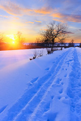 Winter sunset in countryside