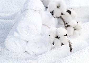 Fototapeta na wymiar White Cotton Towels and cotton plant