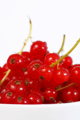 Johannisbeeren