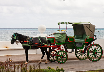 Horse and Green Buggy by the Sea