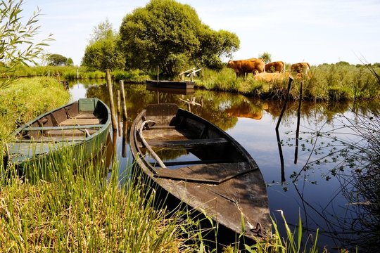 Marais de la Grande Bri&egrave;re (Loire-Atlantique)