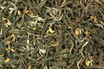 China Guangxi Osmathus Tee