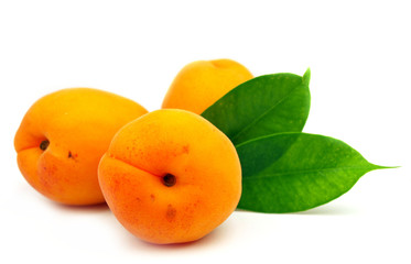 Fresh apricots on white background