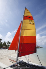 catamarano aruba