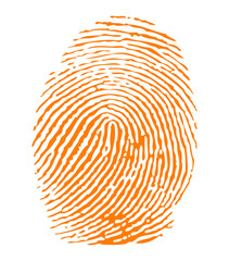 Orange fingerprint vector