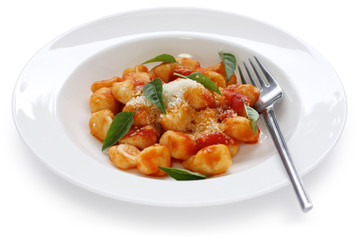 Potato Gnocchi with Tomato Sauce