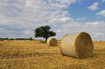 Strohballen
