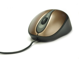 Computer mouse on white background