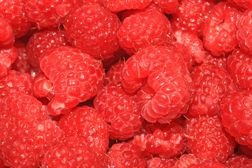 Raspberry