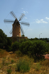 Fototapeta premium Windmühle