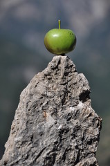 mela in equilibrio