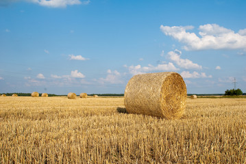 Fototapeta premium straw on the field