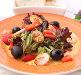 Frischer Salat