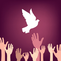 Fototapeta premium A lot of hands releasing white dove of peace.