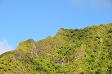 tropisch gr&uuml;ner Berghang