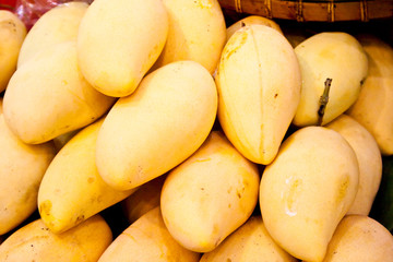 Yellow mango