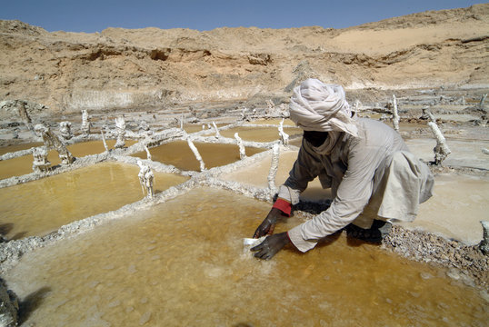 travail dans une saline