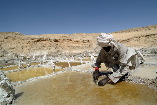 travail dans une saline