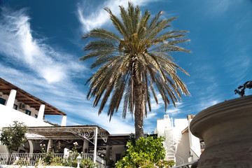 Panarea Landscape