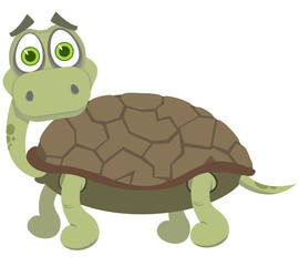 The surprised turtle. A vector illustration