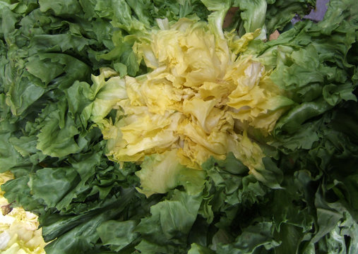 Salat auf dem Wochenmarkt
