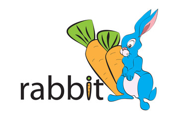 rabbit design