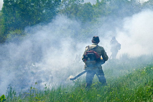 Suppression of forest fire 73