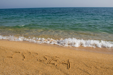 I love the sea.