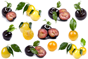 Colored plum on white background