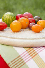 Colourful Tomatoes