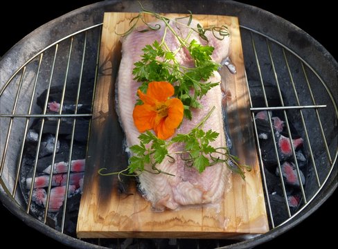 Wood-Planks Fischgrill