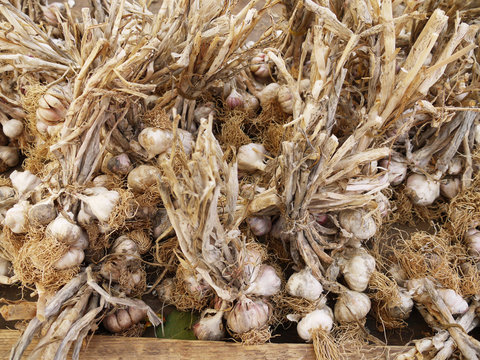 Knoblauch am Marktstand